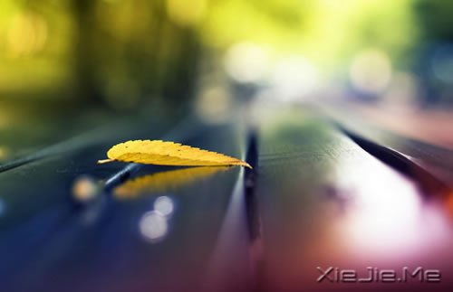 不要停止追赶某些东西，比如梦想 (5)