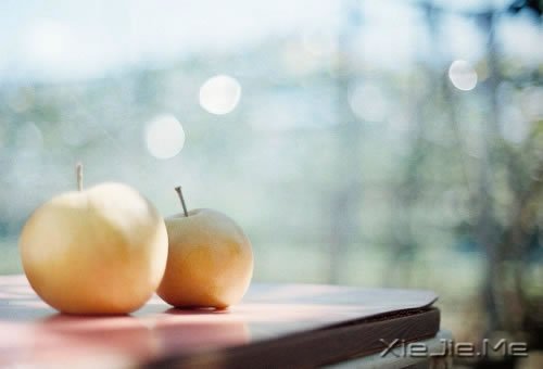 不要停止追赶某些东西，比如梦想 (11)