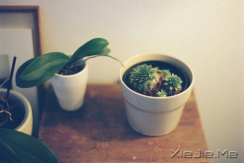 晚安心语：生活得更好，是为了自己 (12)