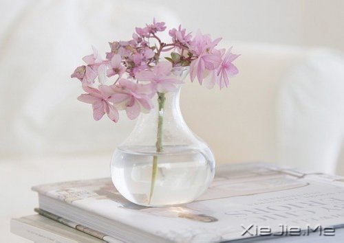 早安心语：轻轻的呼吸，浅浅的微笑 (1)