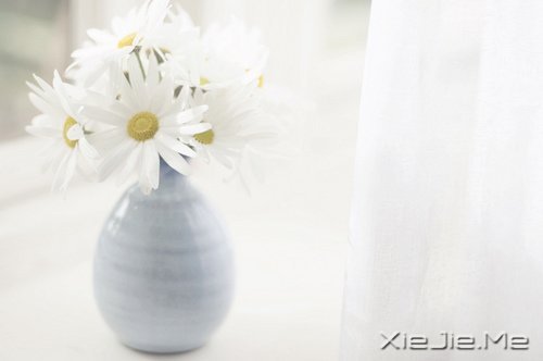 早安心语：轻轻的呼吸，浅浅的微笑 (2)