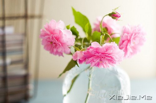 早安心语：轻轻的呼吸，浅浅的微笑 (7)