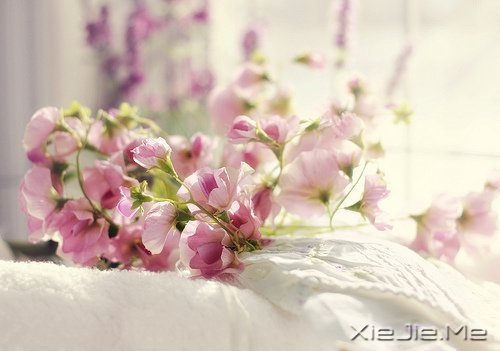 早安心语：走今天的路，过当下的生活 (10)
