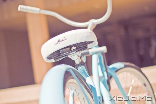 文字：爱他们的时候我们像条狗